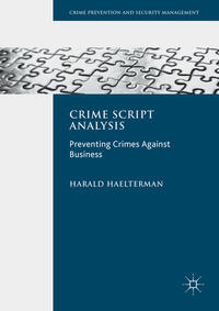 Crime Script Analysis