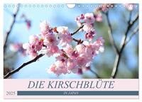 Die Kirschblüte in Japan (Wandkalender 2025 DIN A4 quer), CALVENDO Monatskalender