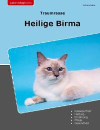 Traumrasse Heilige Birma