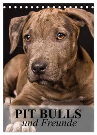 Pit Bulls und Freunde (Tischkalender 2025 DIN A5 hoch), CALVENDO Monatskalender