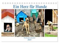 Ein Herz für Hunde - Wachhunde in Russland (Tischkalender 2025 DIN A5 quer), CALVENDO Monatskalender