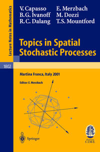 Topics in Spatial Stochastic Processes