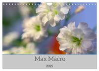 Max Macro (Wandkalender 2025 DIN A4 quer), CALVENDO Monatskalender