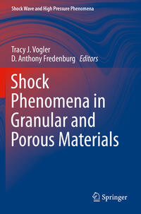 Shock Phenomena in Granular and Porous Materials