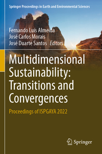 Multidimensional Sustainability: Transitions and Convergences