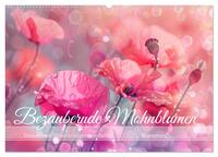 Bezaubernde Mohnblumen (Wandkalender 2025 DIN A2 quer), CALVENDO Monatskalender