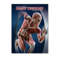 Body Worlds. The Original Exhibition (DK)