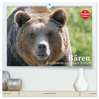 Bären. Kraftpakete auf leisen Sohlen (hochwertiger Premium Wandkalender 2025 DIN A2 quer), Kunstdruck in Hochglanz