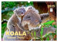 Koala - kleiner Teddy (Wandkalender 2025 DIN A3 quer), CALVENDO Monatskalender