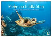 Meeresschildkröten: Aus den blauen Tiefen der Ozeane (Wandkalender 2026 DIN A3 quer), CALVENDO Monatskalender