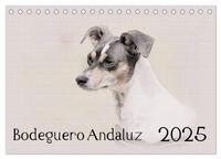 Bodeguero Andaluz 2025 (Tischkalender 2025 DIN A5 quer), CALVENDO Monatskalender