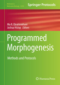 Programmed Morphogenesis