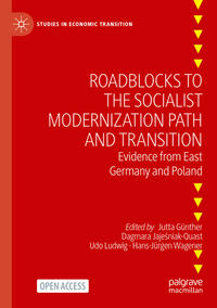 Roadblocks to the Socialist Modernization Path and Transition