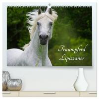 Traumpferd Lipizzaner (hochwertiger Premium Wandkalender 2025 DIN A2 quer), Kunstdruck in Hochglanz