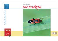 Die Insekten