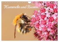 Hummeln und Bienen (Wandkalender 2025 DIN A4 quer), CALVENDO Monatskalender