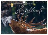 Emotionale Momente: Hirschbrunft (Wandkalender 2025 DIN A4 quer), CALVENDO Monatskalender