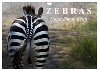 Zebras - Ungezähmte Kraft (Wandkalender 2025 DIN A4 quer), CALVENDO Monatskalender