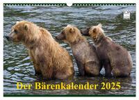 Der Bärenkalender 2025 (Wandkalender 2025 DIN A3 quer), CALVENDO Monatskalender