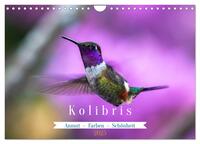 Kolibris; Anmut, Schönheit, Farben (Wandkalender 2025 DIN A4 quer), CALVENDO Monatskalender