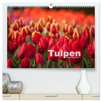 Tulpen (hochwertiger Premium Wandkalender 2025 DIN A2 quer), Kunstdruck in Hochglanz