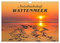 Naturlandschaft WATTENMEER (Wandkalender 2025 DIN A4 quer), CALVENDO Monatskalender