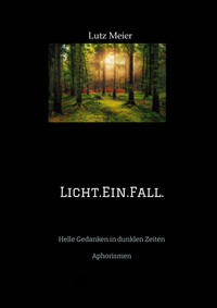 Licht.Ein.Fall.