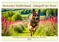 Deutscher Schäferhund - Inbegriff der Treue (Wandkalender 2025 DIN A4 quer), CALVENDO Monatskalender