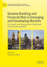 Shadow Banking and Financial Risk in Emerging and Developing Markets