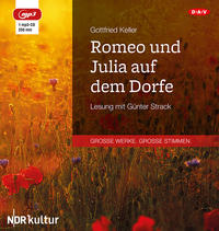 Romeo und Julia auf dem Dorfe