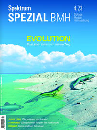 Spektrum Spezial BMH - Evolution