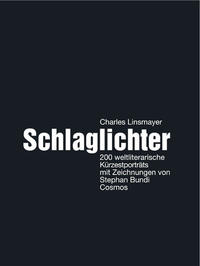 Schlaglichter