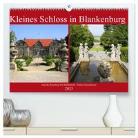 Kleines Schloss in Blankenburg und die Roseburg bei Ballenstedt (hochwertiger Premium Wandkalender 2025 DIN A2 quer), Kunstdruck in Hochglanz