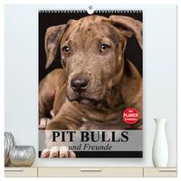 Pit Bulls und Freunde (hochwertiger Premium Wandkalender 2025 DIN A2 hoch), Kunstdruck in Hochglanz