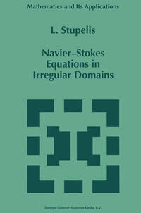 Navier-Stokes Equations in Irregular Domains