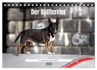 Der Bullterrier der beste Hund der Welt (Tischkalender 2025 DIN A5 quer), CALVENDO Monatskalender