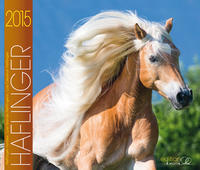 Haflinger Pferde Kalender 2015