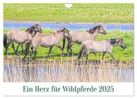 Ein Herz für Wildpferde (Wandkalender 2025 DIN A4 quer), CALVENDO Monatskalender