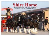 Shire Horse • Prunkvolle Giganten (Wandkalender 2025 DIN A2 quer), CALVENDO Monatskalender