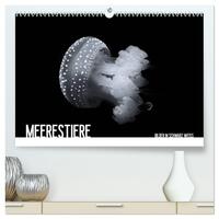 Meerestiere Bilder in Schwarz Weiss (hochwertiger Premium Wandkalender 2025 DIN A2 quer), Kunstdruck in Hochglanz