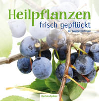 Heilpflanzen frisch gepflückt