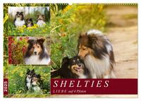 SHELTIES Liebe auf 4 Pfoten (Wandkalender 2025 DIN A2 quer), CALVENDO Monatskalender