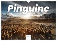 Pinguine - Die sympathischen Frack-Träger (Wandkalender 2025 DIN A3 quer), CALVENDO Monatskalender