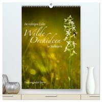 Im richtigen Licht: Wilde Orchideen in Südbayern (hochwertiger Premium Wandkalender 2025 DIN A2 hoch), Kunstdruck in Hochglanz