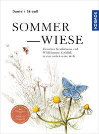 Sommerwiese