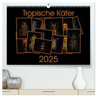 Tropische Käfer (hochwertiger Premium Wandkalender 2025 DIN A2 quer), Kunstdruck in Hochglanz