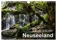 Neuseeland - Wilde Wälder (Wandkalender 2025 DIN A4 quer), CALVENDO Monatskalender