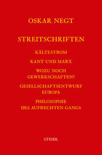 Werkausgabe Bd. 18 / Streitschriften