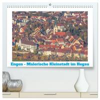 Engen - Malerische Kleinstadt im Hegau (hochwertiger Premium Wandkalender 2025 DIN A2 quer), Kunstdruck in Hochglanz