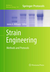 Strain Engineering